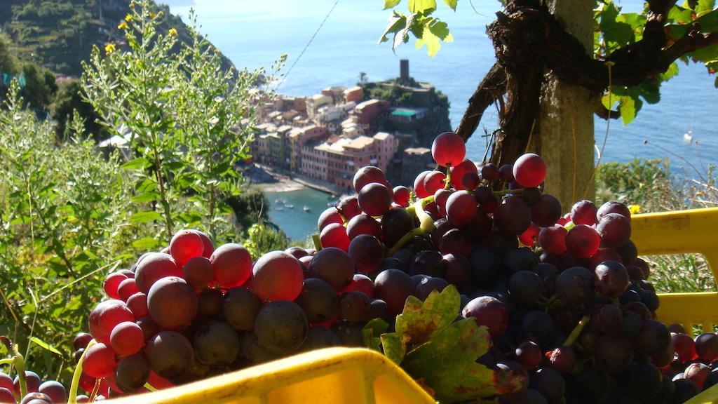 Ferienwohnung Casa Vacanze Zia Maria Vernazza Zimmer foto